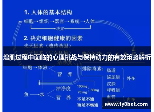 增肌过程中面临的心理挑战与保持动力的有效策略解析